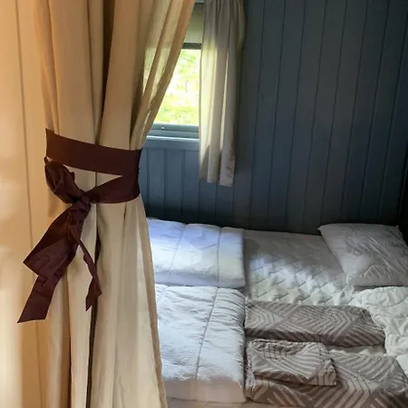 The Yellow House Feset