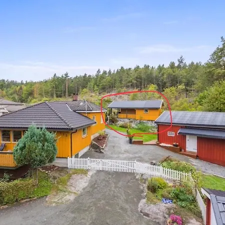 The Yellow House